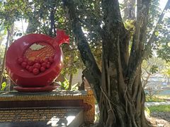 -瑞丽独树成林风景区