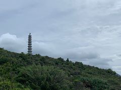 -杨梅坑