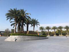 -宝安西湾红树林湿地公园