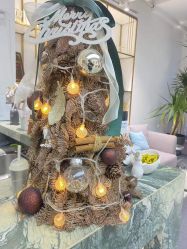 点击看大图 -IDOL PLUS