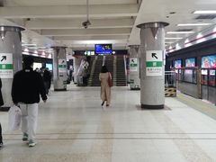 -大望路(地铁站)