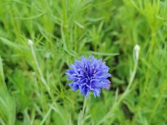 -国际非物质文化遗产博览园