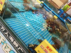 -三亚火车头万人海鲜广场