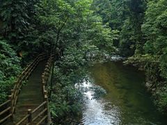 -广州市石门国家森林公园