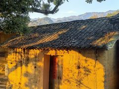 -杨家堂村