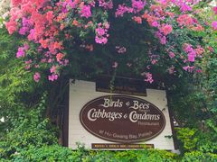 门面-卷心菜和避孕套餐厅(Pattaya)