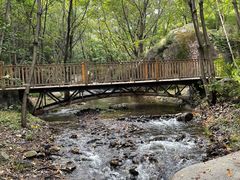 -云岫谷游猎自然风景区