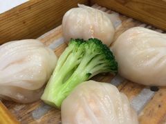 -鹅城