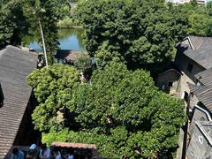 -东莞市可园博物馆