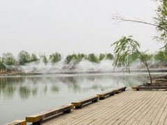 -马家湾湿地公园