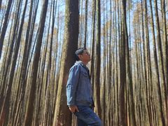 -山王坪喀斯特国家生态公园