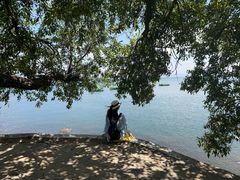 -抚仙湖禄充风景区