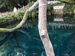 -蝴蝶泉公园