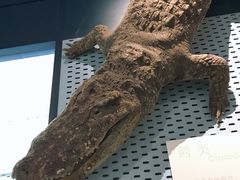 -浙江自然博物院(杭州馆)
