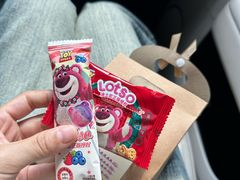 -麦新格精品酒店(上海国际旅游度假区川沙地铁站店)