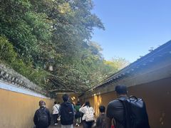 -普陀山风景区-佛顶山
