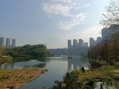 -重庆彩云湖湿地公园