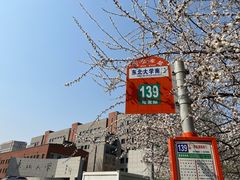 -东北大学(南湖校区)