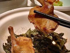 -璞肴中餐厅(深铁铂尔曼店)