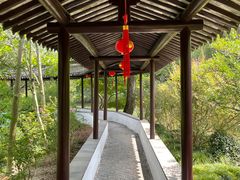 -上海醉白池公园