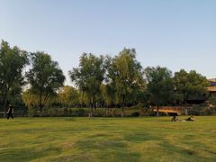 -紫金港国际饭店-自助早餐(申花路店)