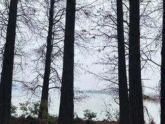 -东湖落雁景区
