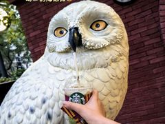 -星巴克臻选(广州沙面店)