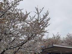 -W CAFE(甜爱路店)