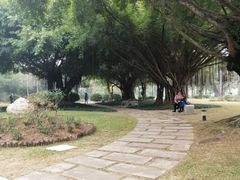 -南宁南湖公园