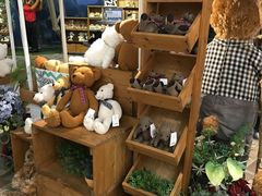 -济州岛泰迪熊博物馆