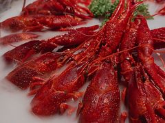 经典冰镇龙虾-红钳侠小龙虾·烧烤(中赢康康谷店)