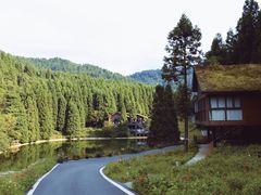 -武陵山森林公园