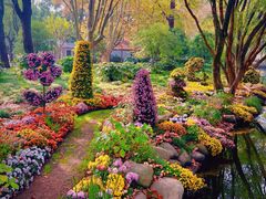 -上海共青森林公园