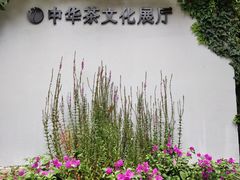 -中国茶叶博物馆(双峰馆区)