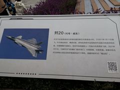 -成飞公园
