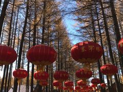 -塞罕坝国家级自然保护区