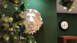 点击看大图 -皇室米澜摄影工作室(宝安店)