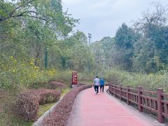 -仙海旅游度假区