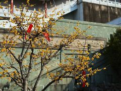 -南京市江宁方山