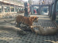 -西安秦岭野生动物园