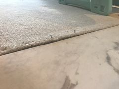 -上海滴水湖皇冠假日酒店