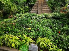 -南宫五洲植物乐园