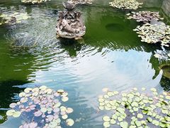 -上海醉白池公园