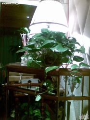 -TIME SPA科技美肤机构