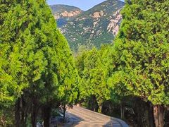 -禅宗少林·音乐大典