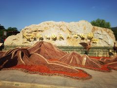 -北京西山国家森林公园