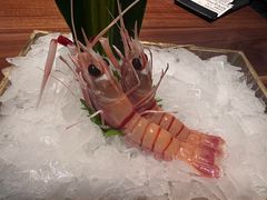 -Mr.Fish鱼鲜生海鲜放题(高德置地冬广场店)