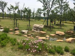 -上海长兴岛郊野公园