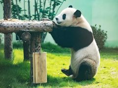 -泉城欧乐堡梦幻世界