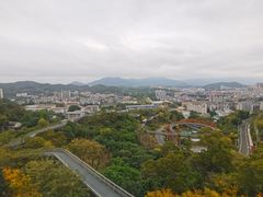 -福道
